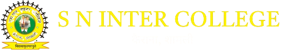 S N INTER COLLEGE Logo
